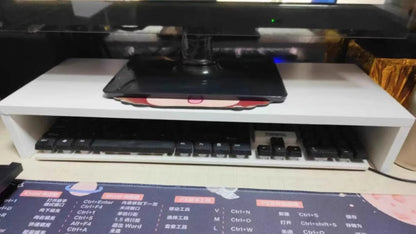 Monitor Stand with Storage Shelf