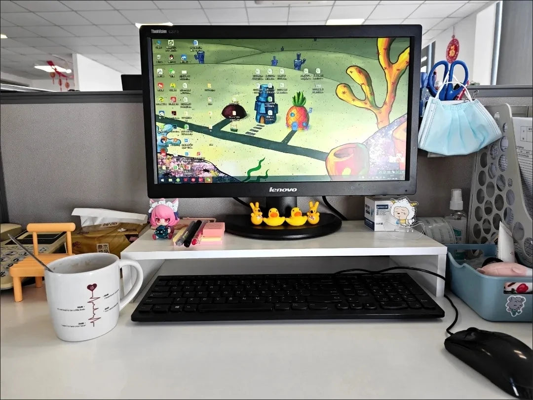 Ergonomic Monitor Riser with Storage