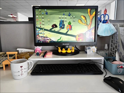 Ergonomic Monitor Riser with Storage