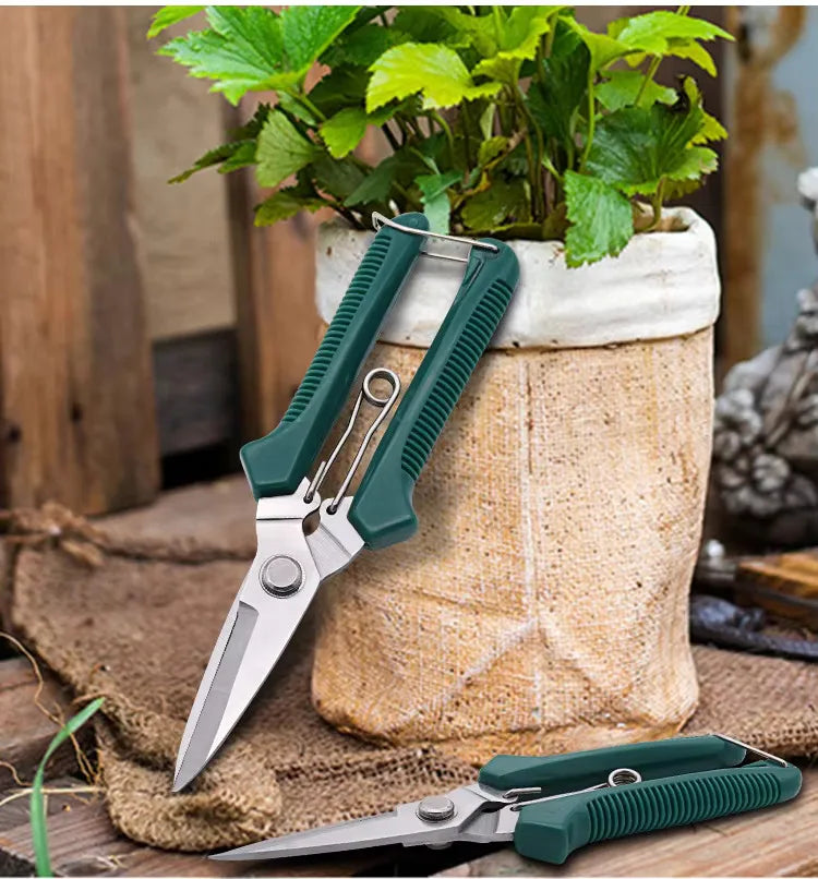 Sharp Stainless Steel Pruning Shears