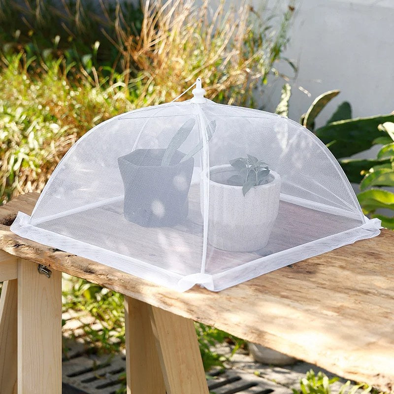 Collapsible Mesh Food Cover - Keeps Bugs Out