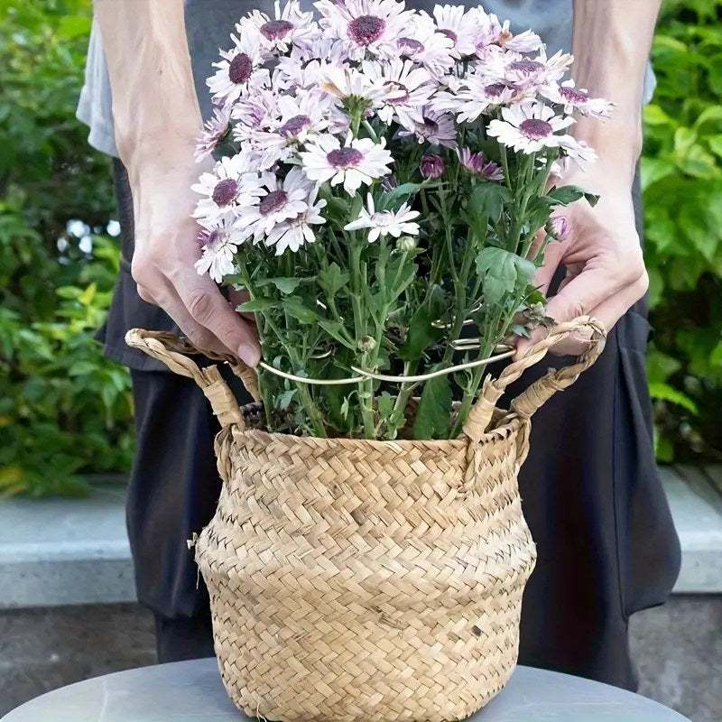 Tall Hanging Plant Stand