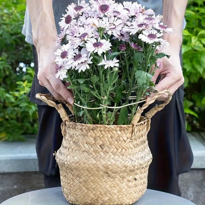 Tall Hanging Plant Stand