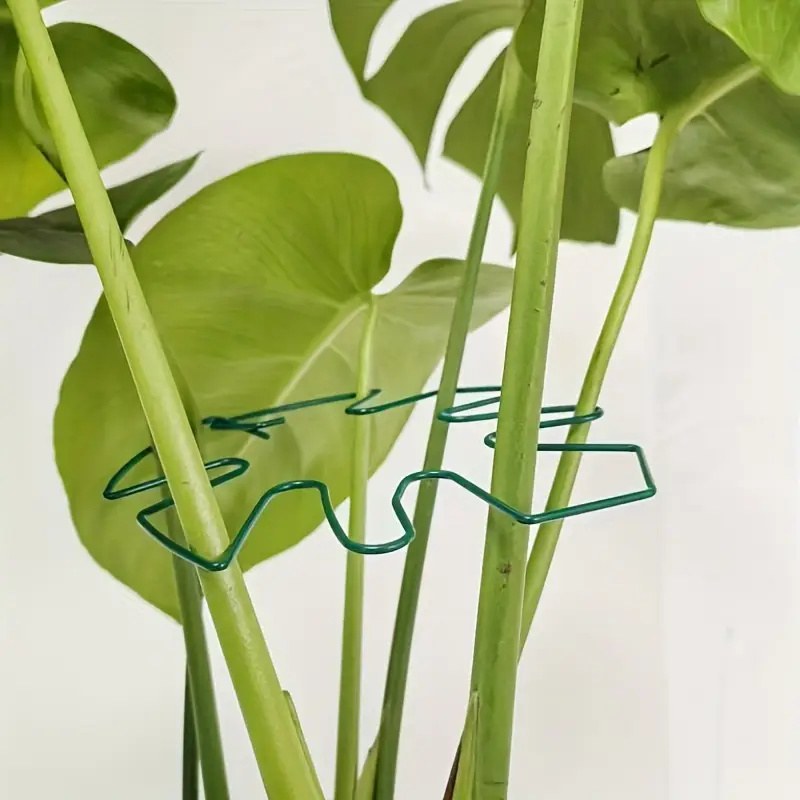 Tall Hanging Plant Stand