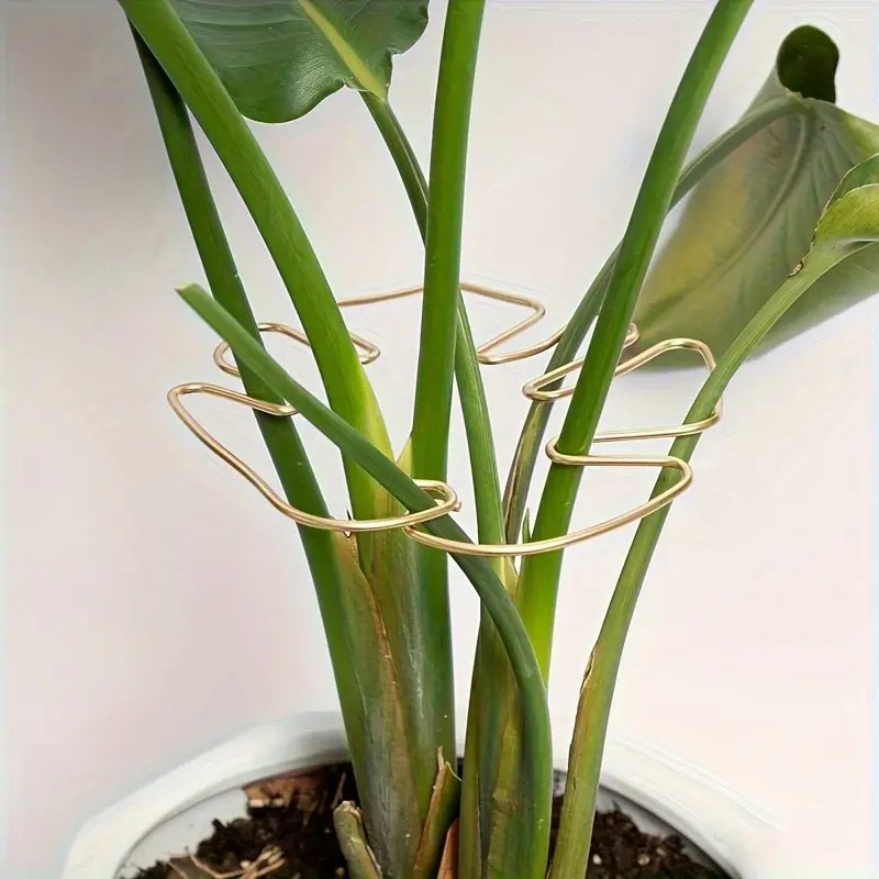 Tall Hanging Plant Stand